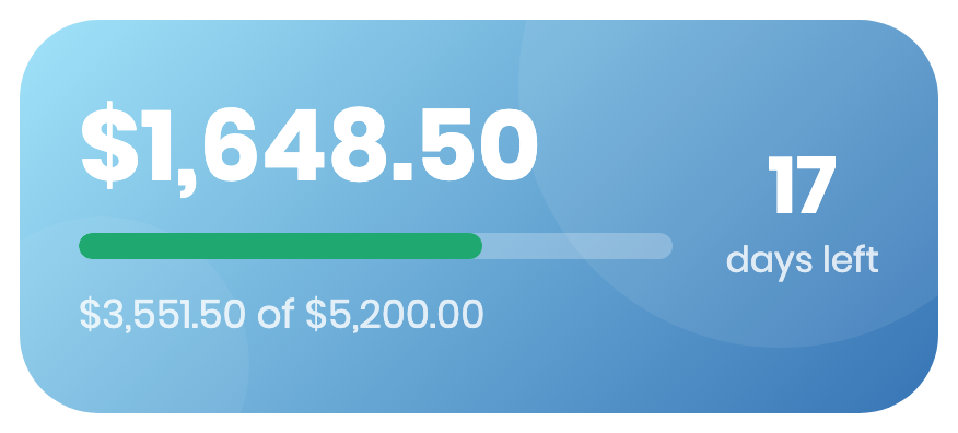 A widget showing $1,648.50 left of a $5,200.00 budget, with 17 days left in the month